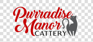 Purradise Manor Cattery   Black Cat  HD Png Download