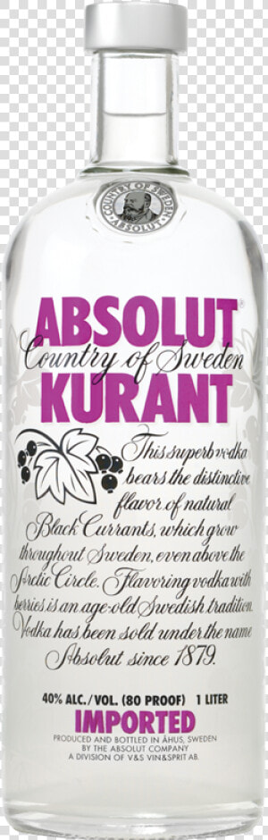 Absolut Kurant   Drinking   Land   Absolut Vodka  HD Png Download