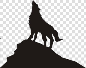 Dog Arctic Wolf Dire Wolf Eastern Wolf Black Wolf   Wolf On Mountain Drawings  HD Png Download