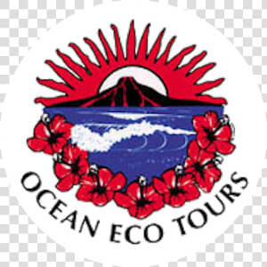 Ocean Eco Tours   Boat  HD Png Download