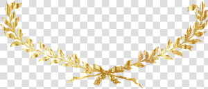 Laurel  Wreath  Gold  Decorative  Decoration   Gold Laurel Wreath Png  Transparent Png