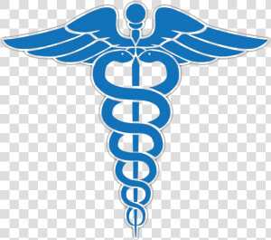 Staff Of Hermes Physician Doctor Of Medicine Caduceus   Medical Hermes Staff  HD Png Download