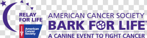 Cancer Vector Relay For Life   Bark For Life 2017  HD Png Download