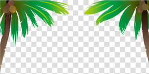 Transparent Coconut Clipart Png   Coconut Tree Vector Png  Png Download