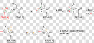 Formation Of Thiazole Starter Unit During Epothilone   Thiazole Formation  HD Png Download