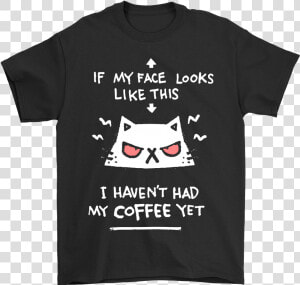 I Haven T Had My Coffee Angry Cat Shirts   Winged Hussar T Shirt  HD Png Download