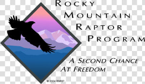 Rmrp Clear Logo   Rocky Mountain Raptor Program Logo  HD Png Download