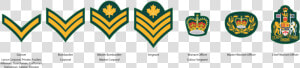 Cadet Ncm Ranks  HD Png Download