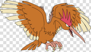 Transparent Spearow Png   Fearow Pokemon  Png Download