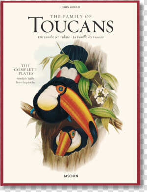 The Family Of Toucans   Toucan John Gould  HD Png Download