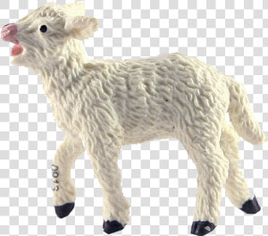 Lamb   Lambs Png  Transparent Png