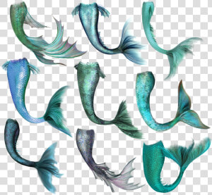 Mermaid  Fish  Tail  Merrow  Fantasy  Magic  Creature   Mermaid Tail Overlay  HD Png Download