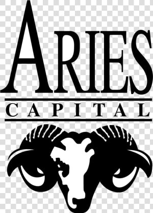 Aris Capital Finance Ltd  HD Png Download