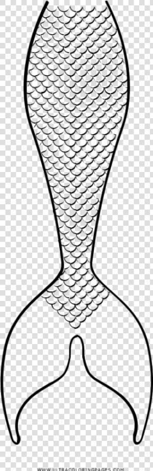 Mermaid Tail Coloring Page   Mermaid Tail Coloring Pages  HD Png Download