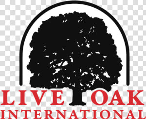 Liveoak logo Red   Blk   Halftrans   Live Oak International Logo  HD Png Download