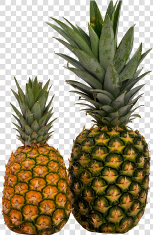 Pineapple Png Image Pngpix   Pineapple Png  Transparent Png