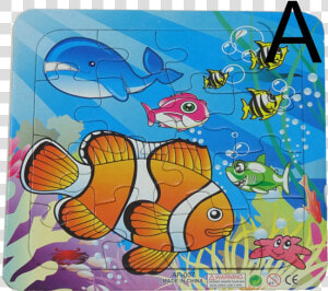 16 Piece Jigsaw Nemo   Kids Puzzles Transparent Png  Png Download