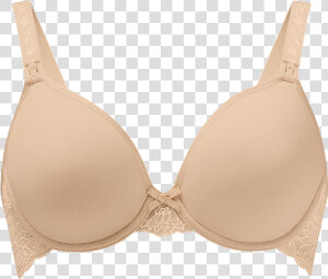 Clip Art Bra Png   Bra Png  Transparent Png