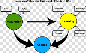 Maturity Vs Learning   Circle  HD Png Download