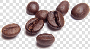 Coffee beans   Chocolate Coffee Beans Png  Transparent Png