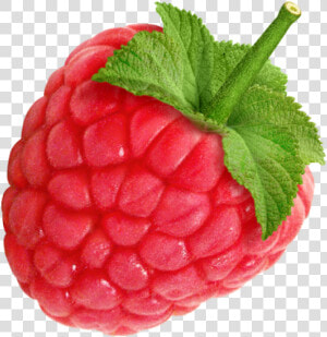 Raspberry Png Image   Raspberry Png  Transparent Png