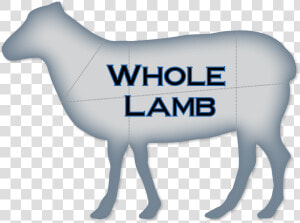 Whole lamb   Varning För  HD Png Download