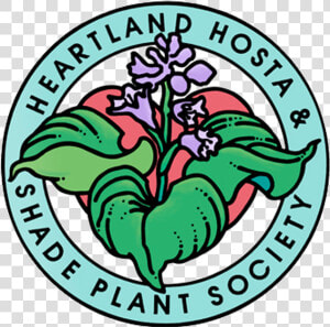 Heartland Hosta  amp  Shade Plant Society   St Francis Of Assisi Catholic Academy  HD Png Download