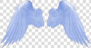  angel  wings  blue  bluewings  angelwings   Angel Wings Gif Transparent  HD Png Download