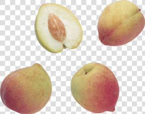 Peach Png Image   Peach  Transparent Png