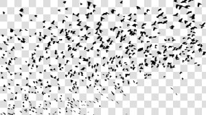 Large Flock Of Birds Silhouette Clip Arts   Flock Of Birds Png  Transparent Png