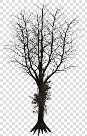 Black Trees Png   Dark Trees Png  Transparent Png