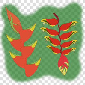 Heliconia Svg  HD Png Download