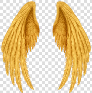  wings  alas  gold  golden  doradas  oro  gods  dioses   Realistic Angel Wings Drawing  HD Png Download