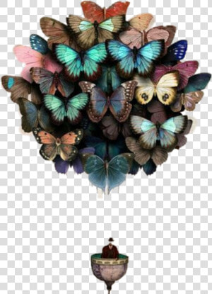 Butterflies Hotairballoon Freetoedit   Butterfly Balloons Art  HD Png Download