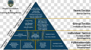 Building Blocks Of Curriculum  HD Png Download