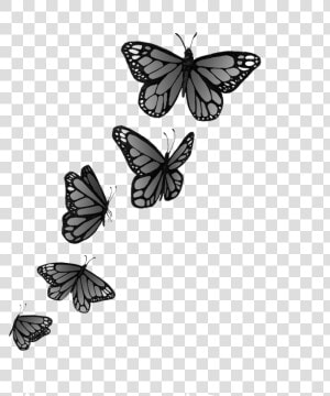 Tatuaje De Mariposas Volando   Mariposas Pequeñas Png  Transparent Png