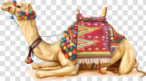 Camel Illustration   Rajasthani Camel Png  Transparent Png