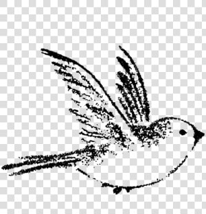 Jpg Bird Swallow Tattoo Painting Transprent Png Free   Small Bird Flying Drawing  Transparent Png