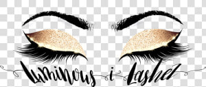 Transparent Eyelash Png   Eyelash Extensions Logo Png  Png Download