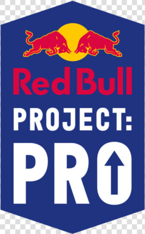 Project Pro   Red Bull Project Pro  HD Png Download