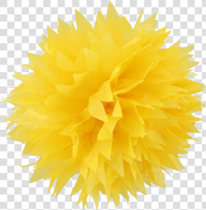 Transparent Pom Poms Png   Yellow Pom Pom Png  Png Download