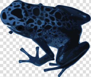 Newt Clipart   Blue Frog Png  Transparent Png