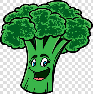 Broccoli Png   Broccoli Clipart  Transparent Png