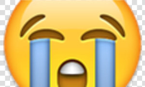 Here Are The Facebook Emoji Reactions We Actually Need   Half Crying Half Laughing Emoji  HD Png Download