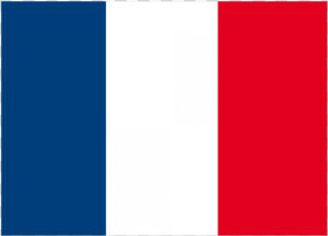 Autocollant Stickers Pas Cher   Small Flag Of France  HD Png Download