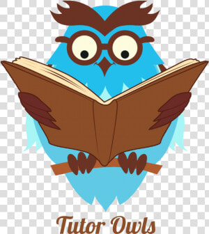 Creative Tutor Owl  HD Png Download