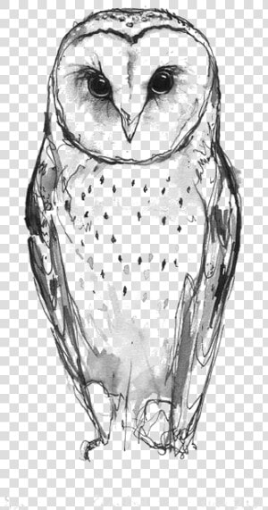 Idea Owl Drawing Tattoo Barn Download Free Image Clipart   Snow Owl Tattoo Design  HD Png Download