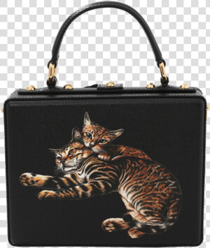 Du0026g Cat Print Box Bag   Handbag  HD Png Download