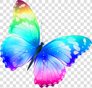 Download Flying Butterflies Png File For Designing   Pretty Butterfly  Transparent Png