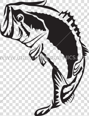 Fishing Clipart Largemouth Bass   Largemouth Bass  HD Png Download